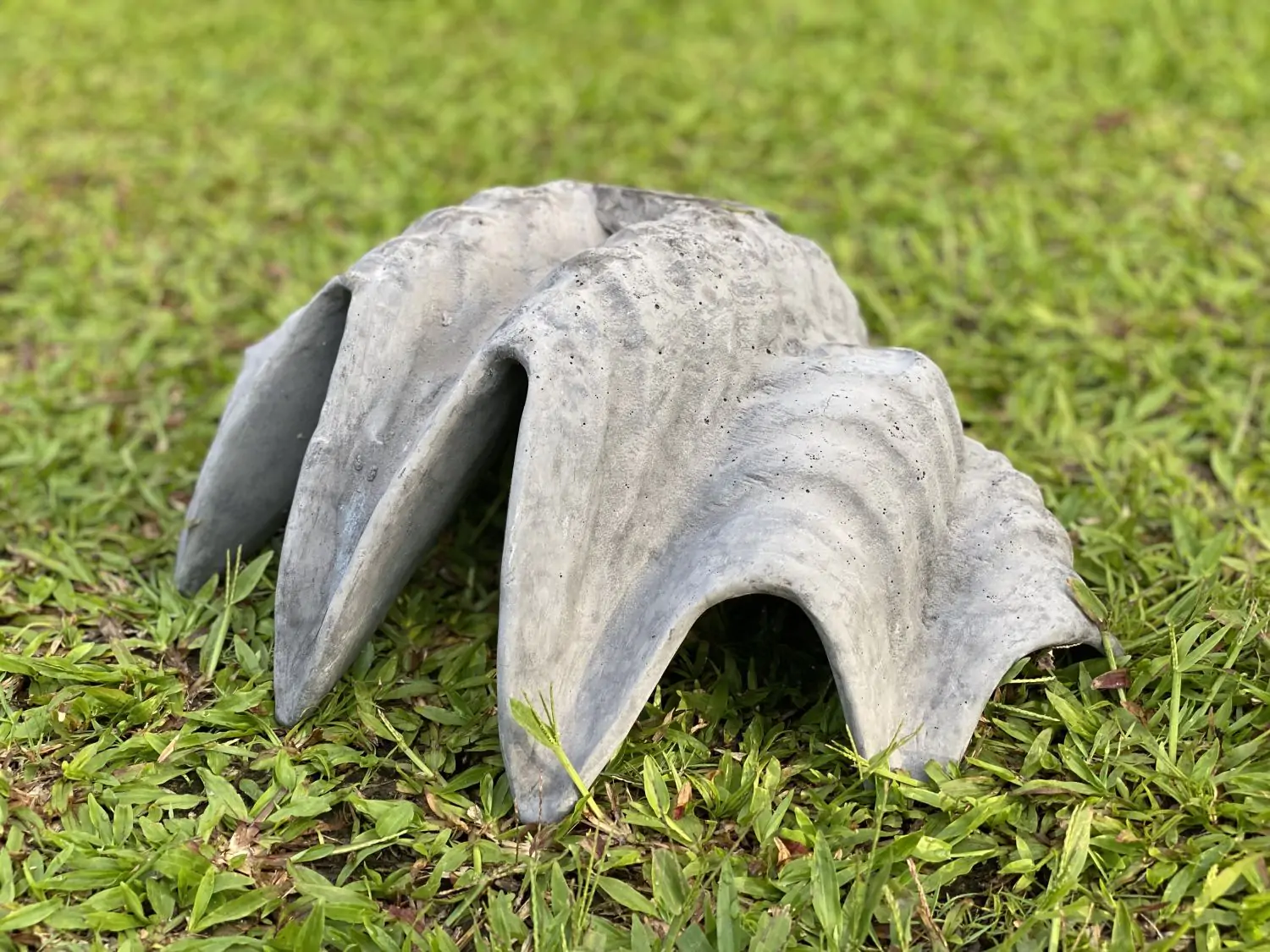  Product image 4 of the product “Marina - Sea shells, 40cm L | cast stone ”